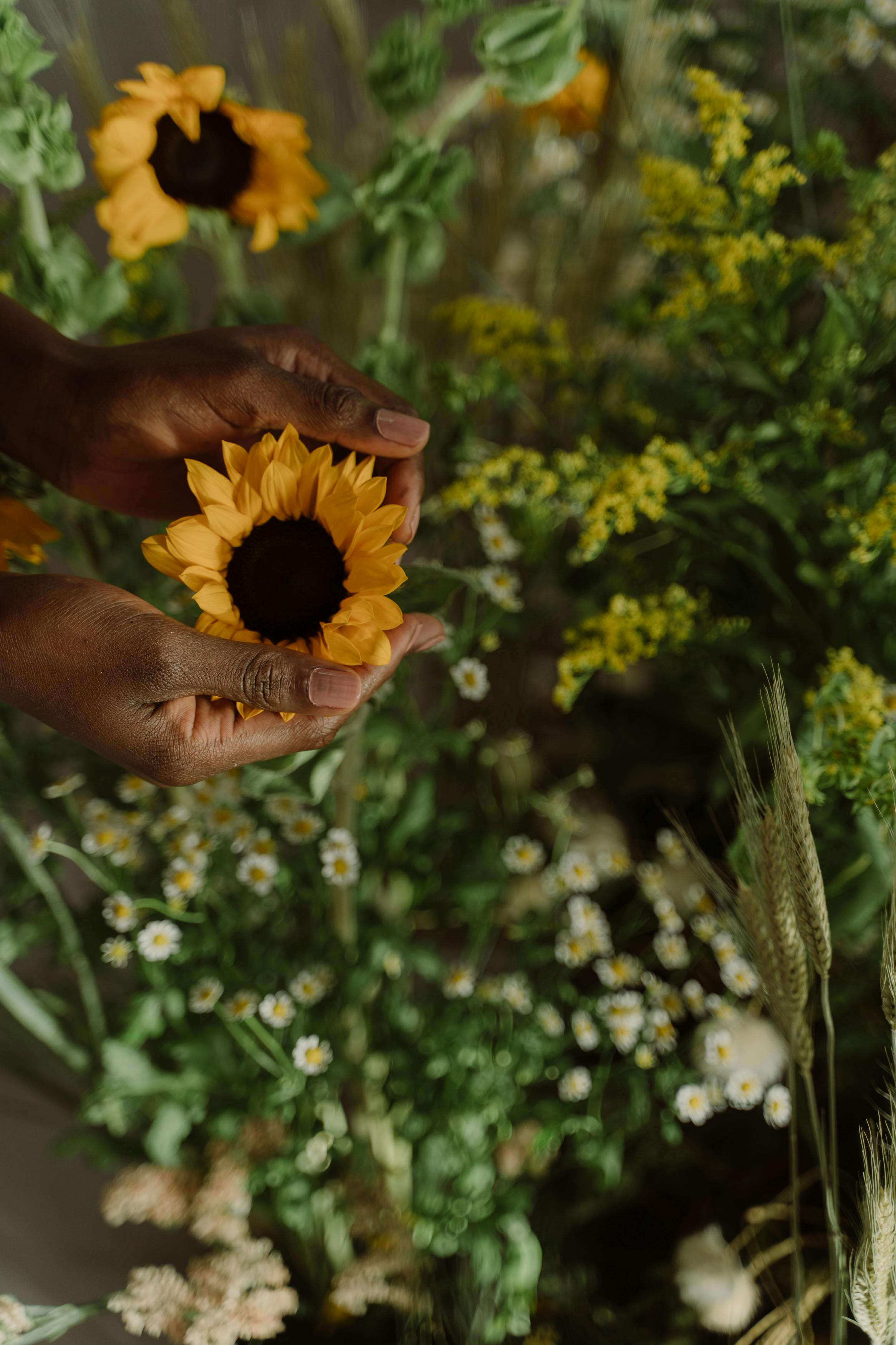cta-2-img Image of waterfall pouring into pond surrounded by lush foliage.